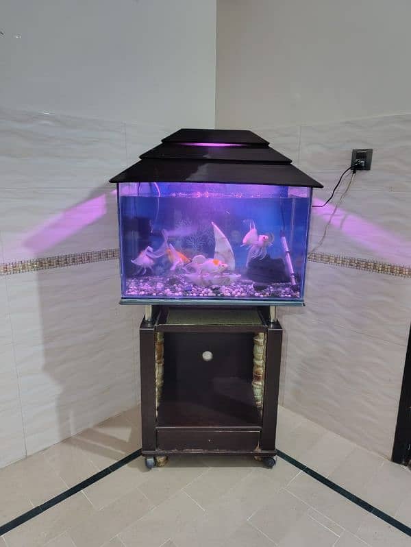 Fish Aquarium complete setup 6