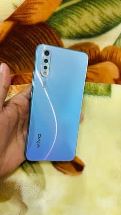 vivo