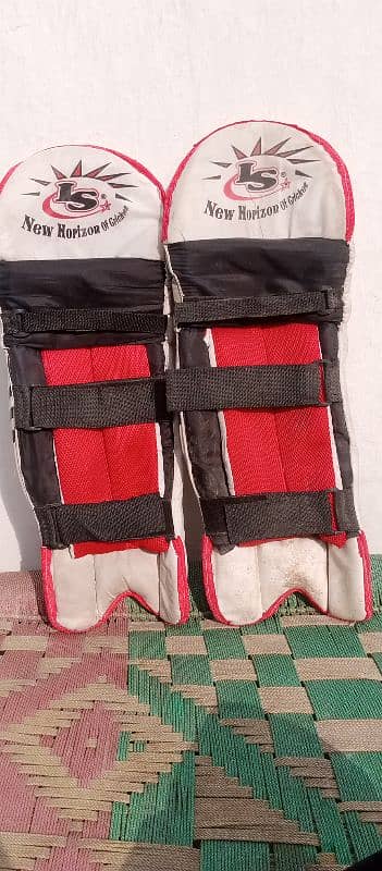 Is Gold Cricket  pads 1 hand use , 10/10 condition With Garanty 1