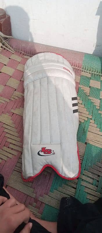 Is Gold Cricket  pads 1 hand use , 10/10 condition With Garanty 3