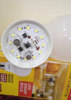 12 watt led bulb price 120