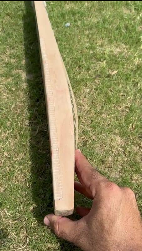 CA GOLD 20K EDITION ENGLISH WILLOW CRICKET BAT 1