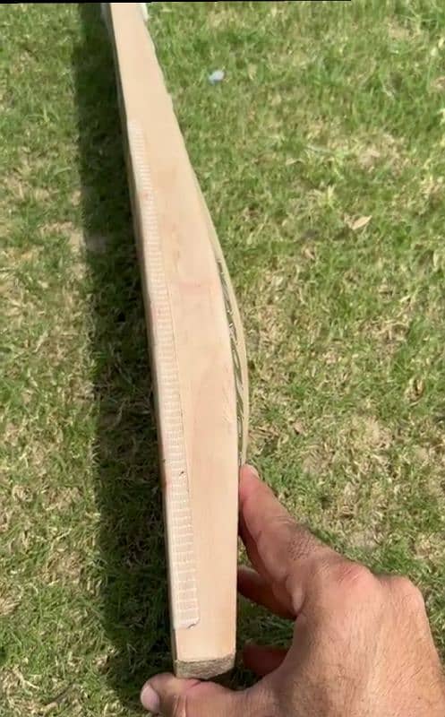 CA GOLD 20K EDITION ENGLISH WILLOW CRICKET BAT 3