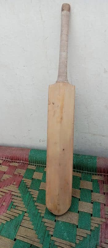 Use Cricket hard bat 10/10 condtion with original handle , Protector , 3