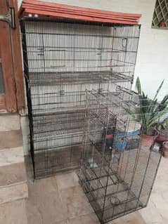 Bird cage for sell