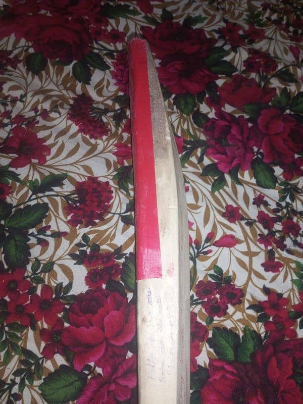 Hardball bat with pads 2