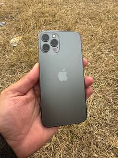 iPhone 12 Pro non pta not jv