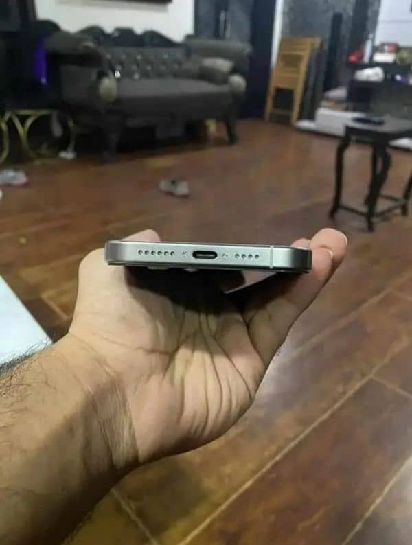 iPhone 15 Pro Max PTA Back Bark 1