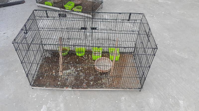 cages for sale 1