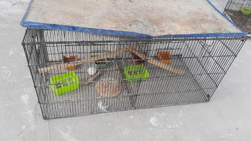 cages for sale 3