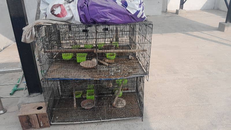 cages for sale 4