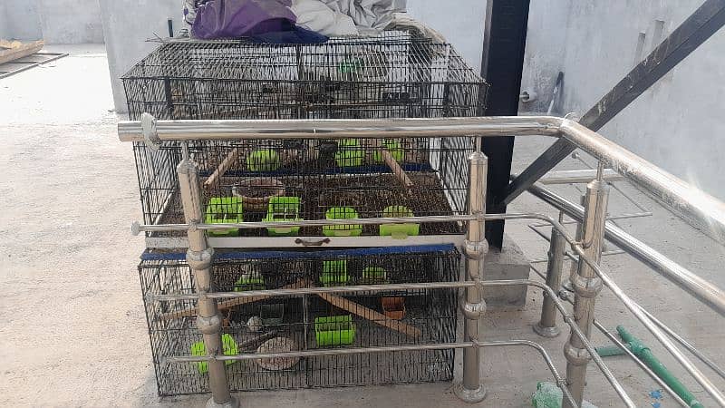 cages for sale 5