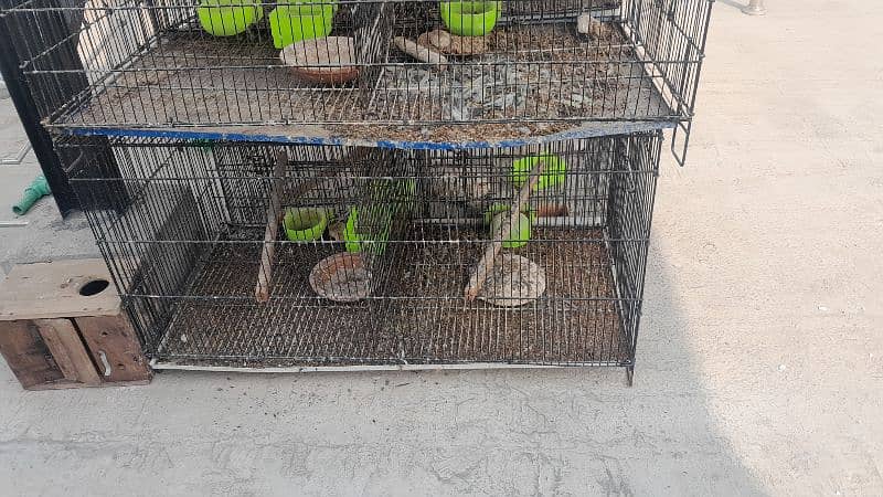 cages for sale 7