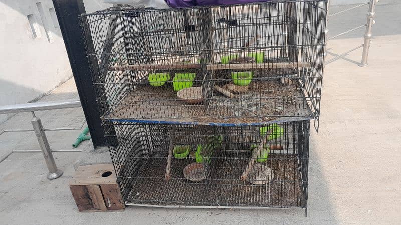 cages for sale 9