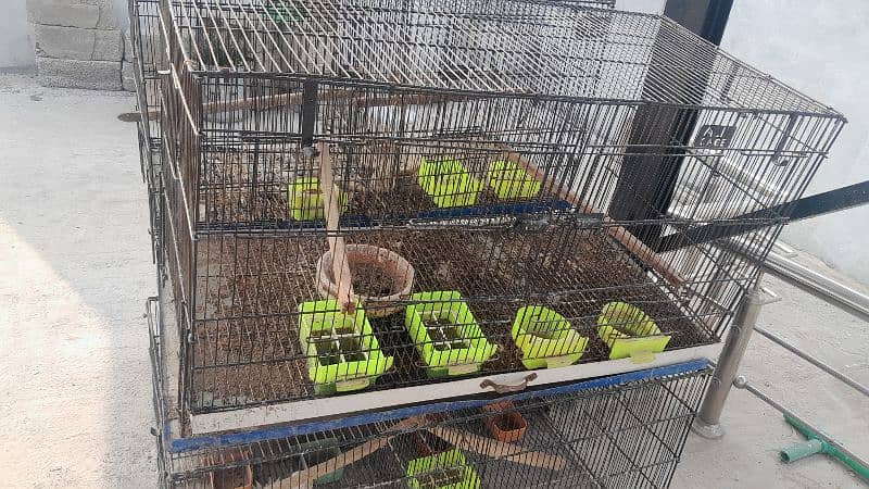 cages for sale 10