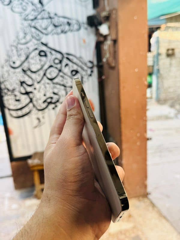 iphone 13 Pro Max Sheesha Condition Waterpack 2