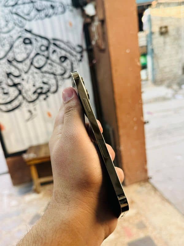 iphone 13 Pro Max Sheesha Condition Waterpack 4