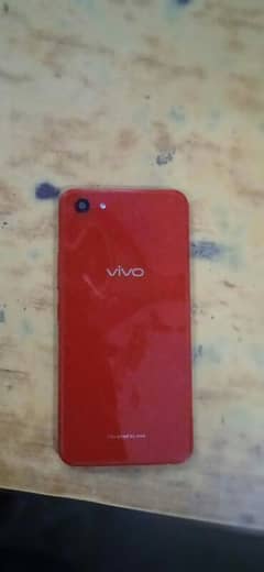 vivo