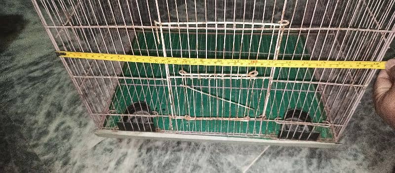 parrot cage pinjra ghar 2