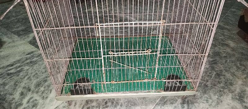 parrot cage pinjra ghar 5