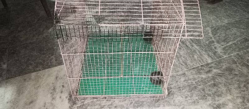 parrot cage pinjra ghar 8