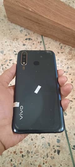 vivo