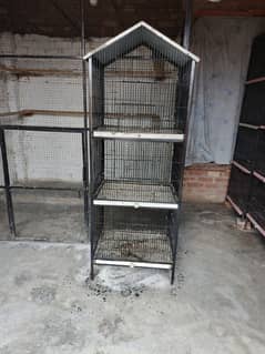 iron birds cage