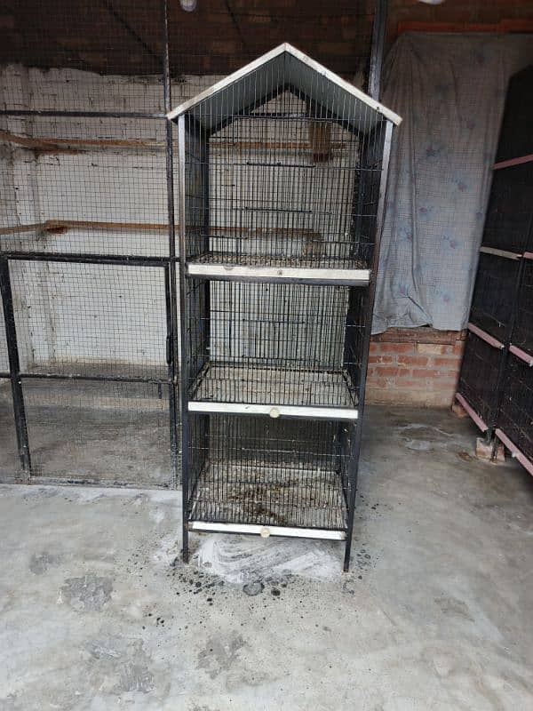 iron birds cage 0