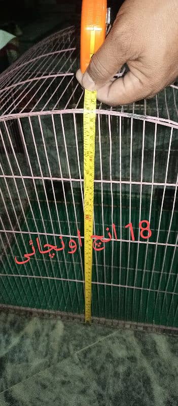 parrot cage pinjra ghar 9