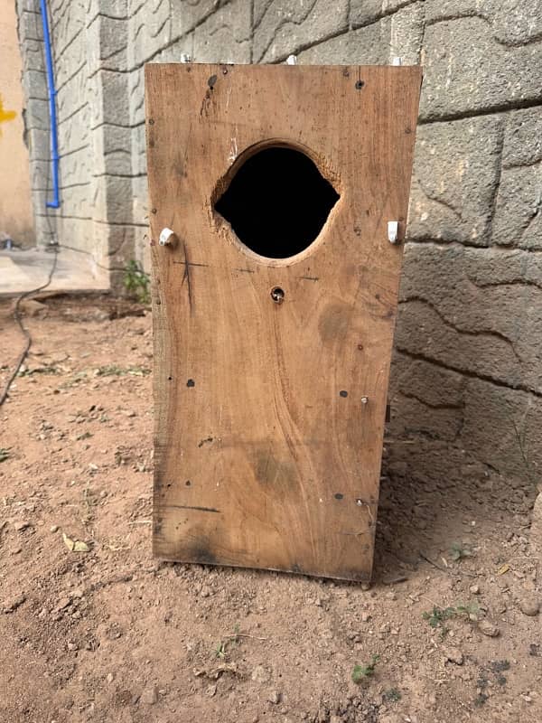 raw parrot box cage 4