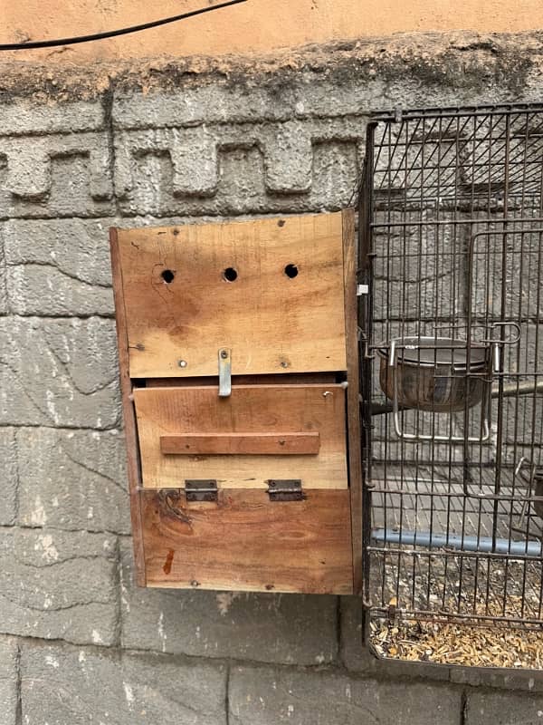 raw parrot box cage 5