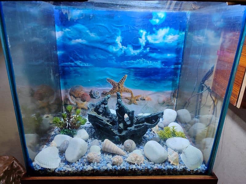 Fish Aquarium 0