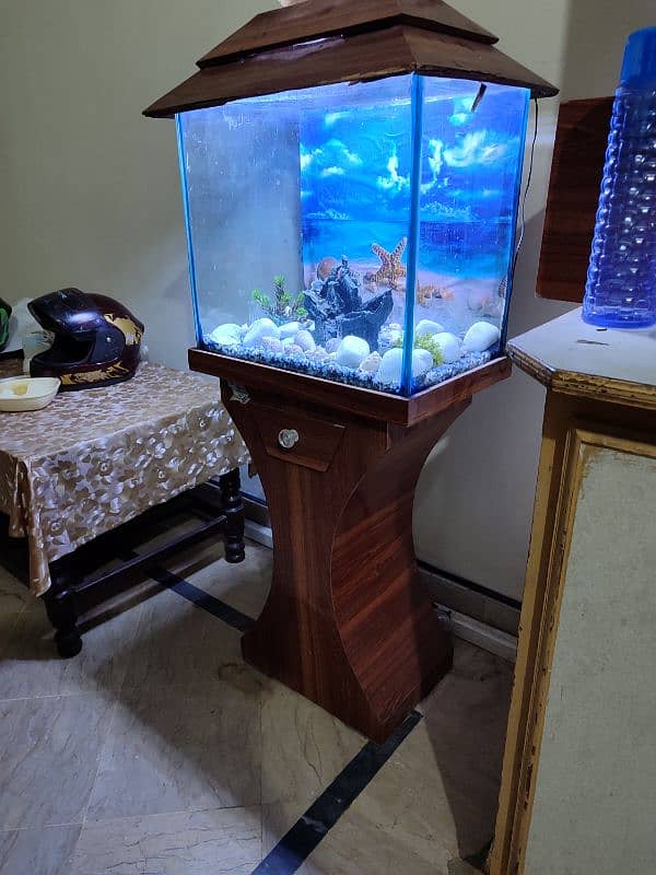 Fish Aquarium 1