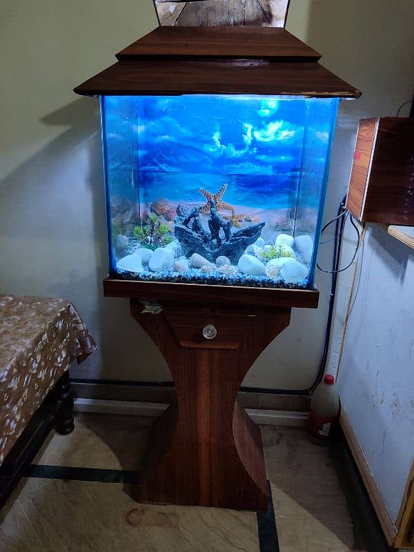 Fish Aquarium 2