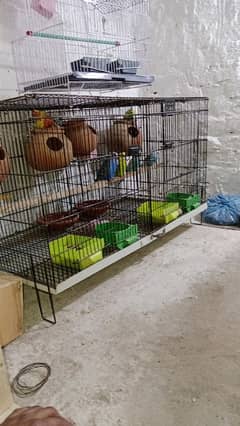 Cage / Birds cage / Hens Cage / Pinjra / Iron Cage / پرندوں کا پنجرا