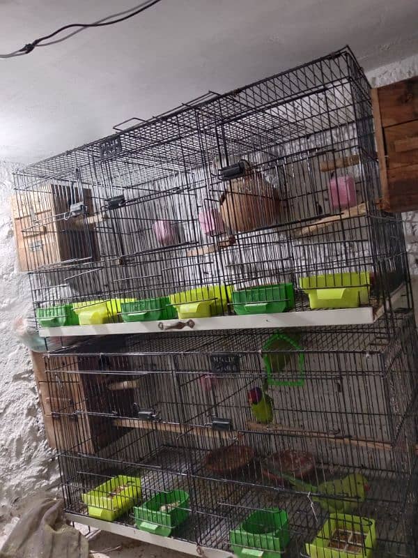 Cage / Birds cage / Hens Cage / Pinjra / Iron Cage / پرندوں کا پنجرا 2