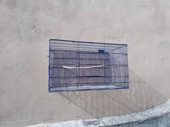 bird's cage's available for sale