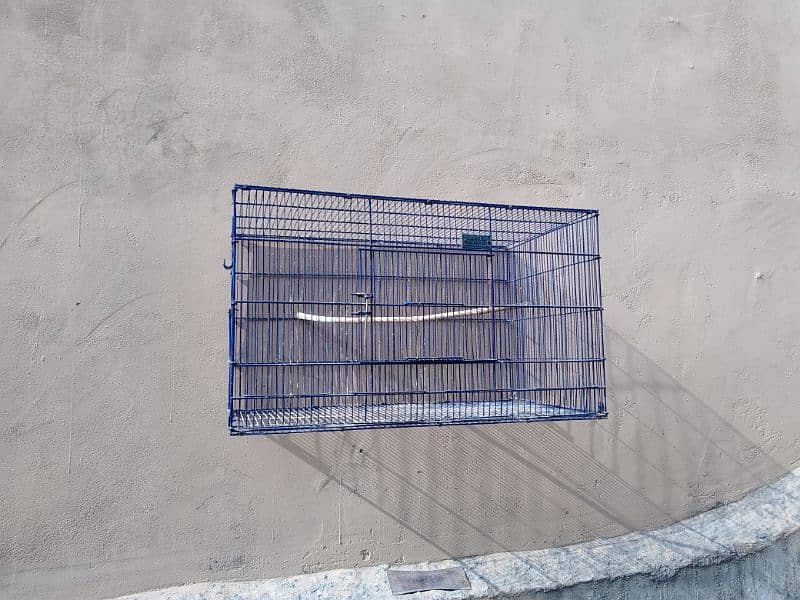 bird's cage's available for sale 0