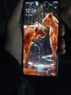 vivo y 51 03039236835