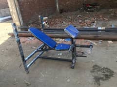 ADJUSTABLE BENCH WITH BENCH PRESS