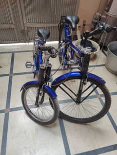 Brand New cycle's for sale