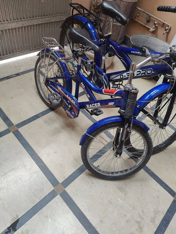 Brand New cycle's for sale 2