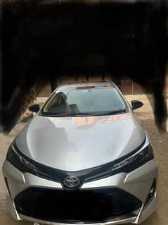 Toyota Altis Grande 2021