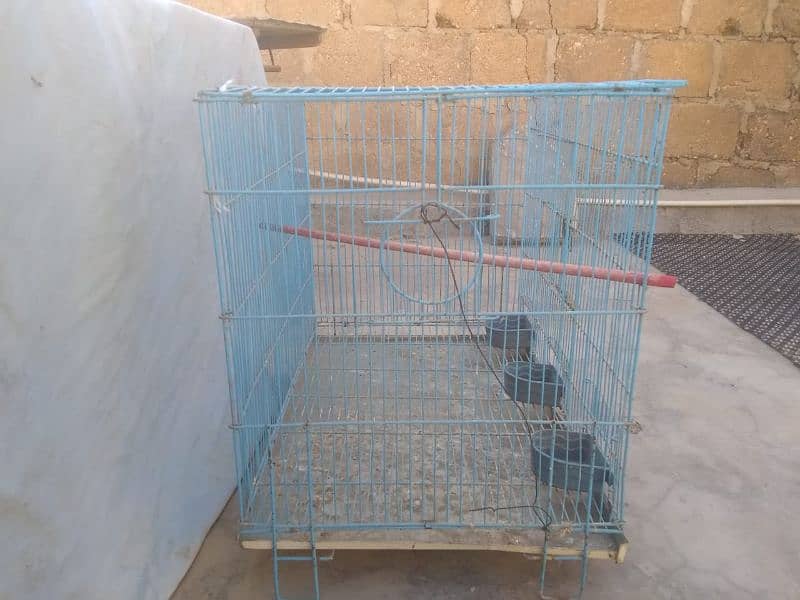 1 portion cage blue colour 2