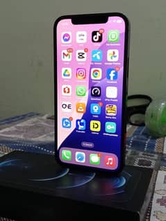 iPhone 12 Pro dual PTA approved