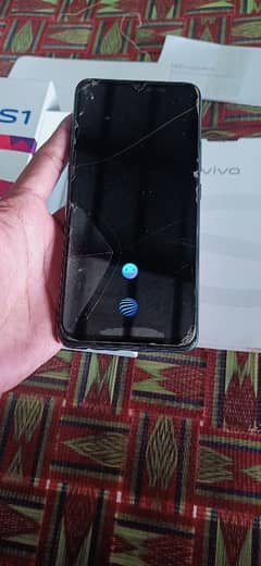 vivo