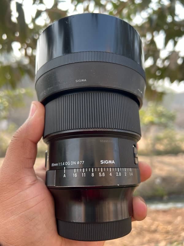 sigma 85mm 1.4 e mont DGDN for sony 2