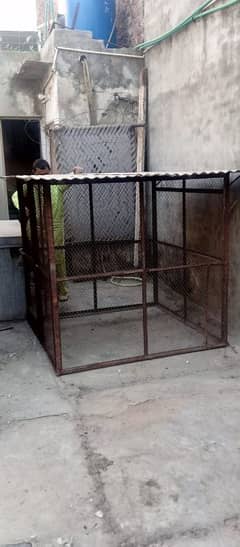 strong iron cage