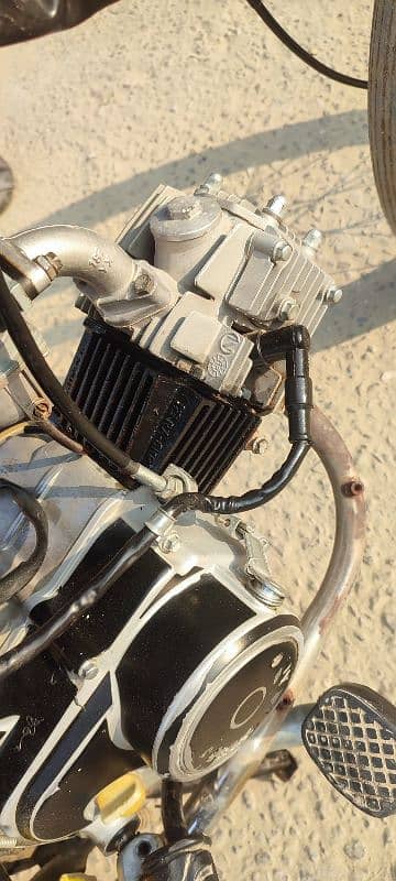 road prince bike alpunjab num engine full ok 2