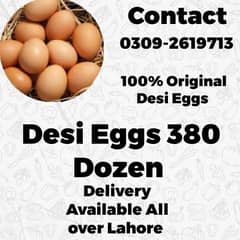 Desi Eggs